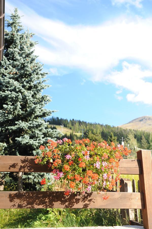 Chalet Garden Livigno Exteriér fotografie